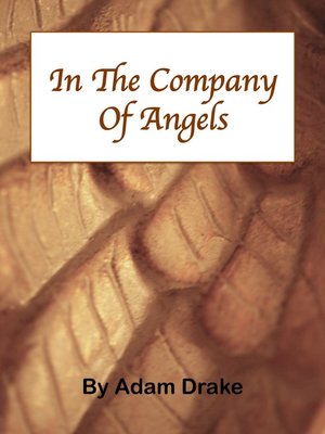 cover image of In the Company of Angels